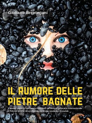 cover image of Il rumore delle pietre bagnate